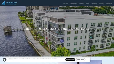 Tribridge Inc website screenshot