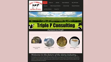 Triple P Consulting Co., Ltd. (use 28419) website screenshot