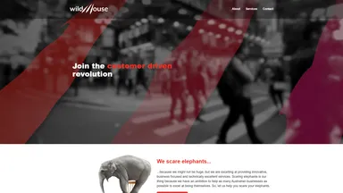 Wild Mouse Pty Ltd website screenshot