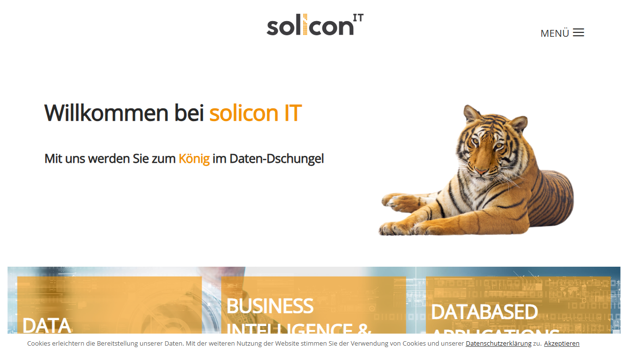 solicon IT GmbH website screenshot