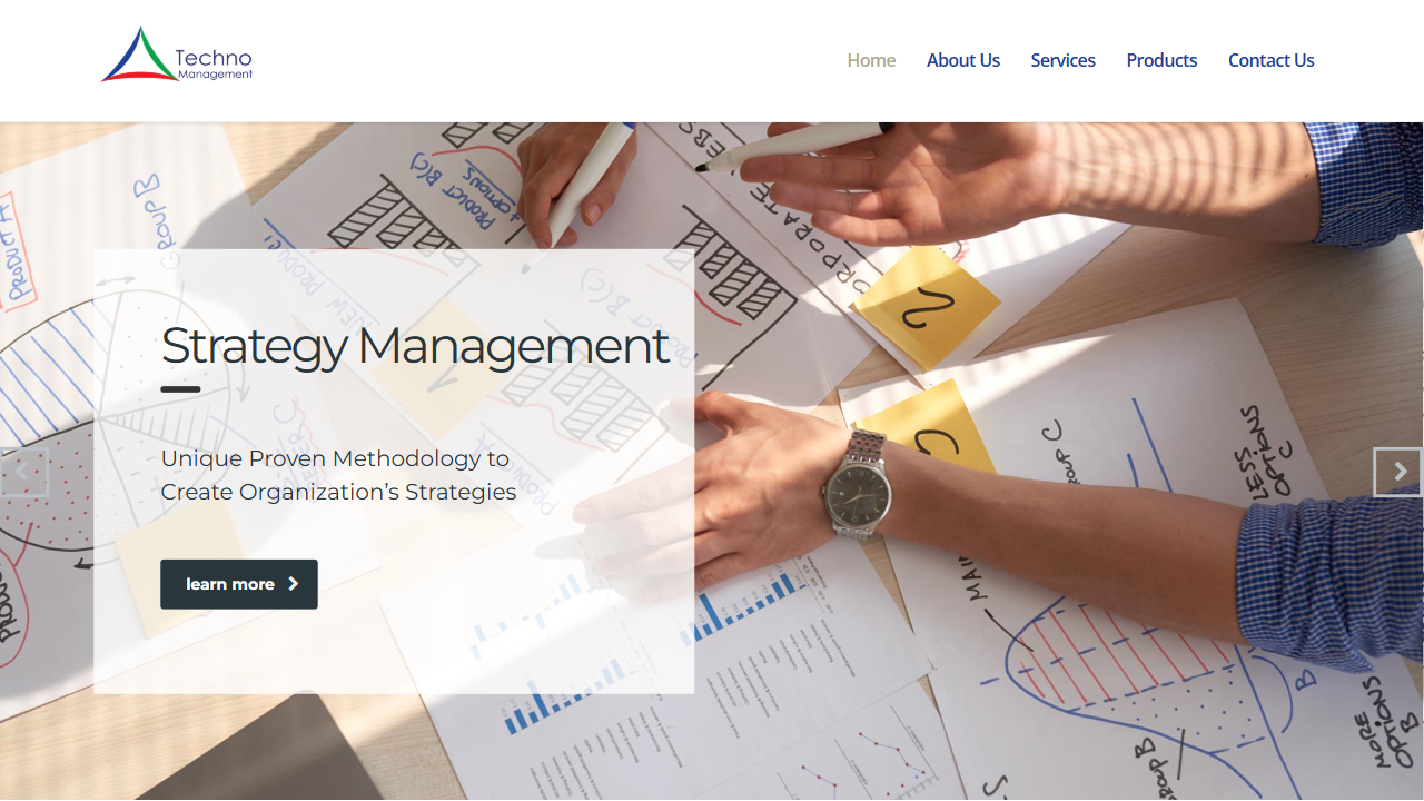 Techno Management website screenshot