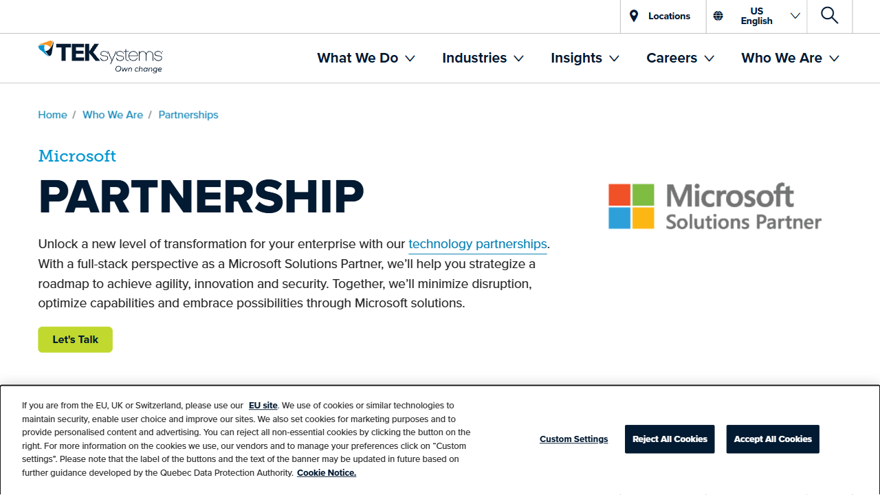 TEKsystems Global Services LLC website screenshot