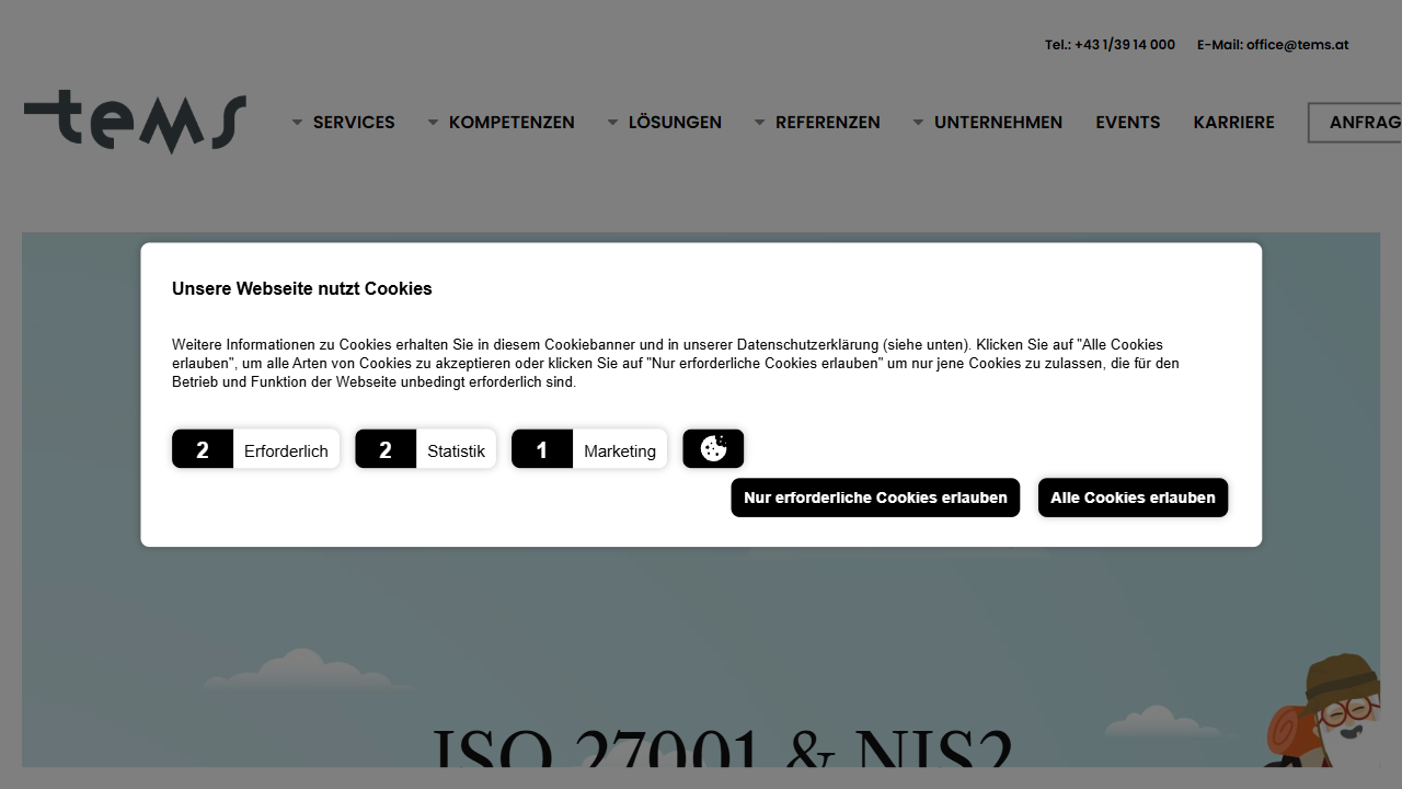 TEMS GmbH website screenshot