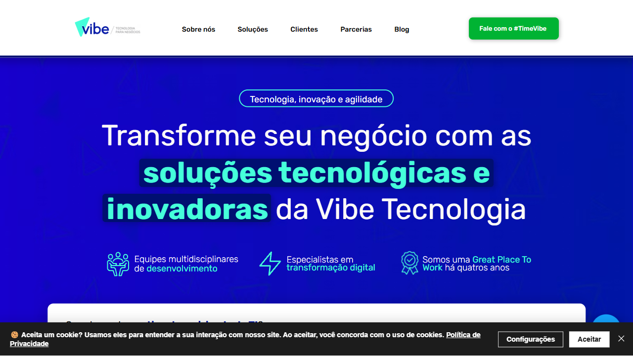 Vibe Desenvolvimento e Servicos de Computacao Ltda website screenshot