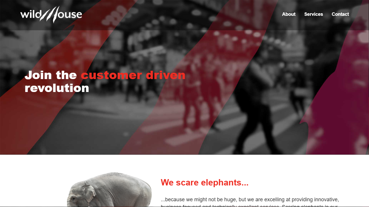 Wild Mouse Pty Ltd website screenshot